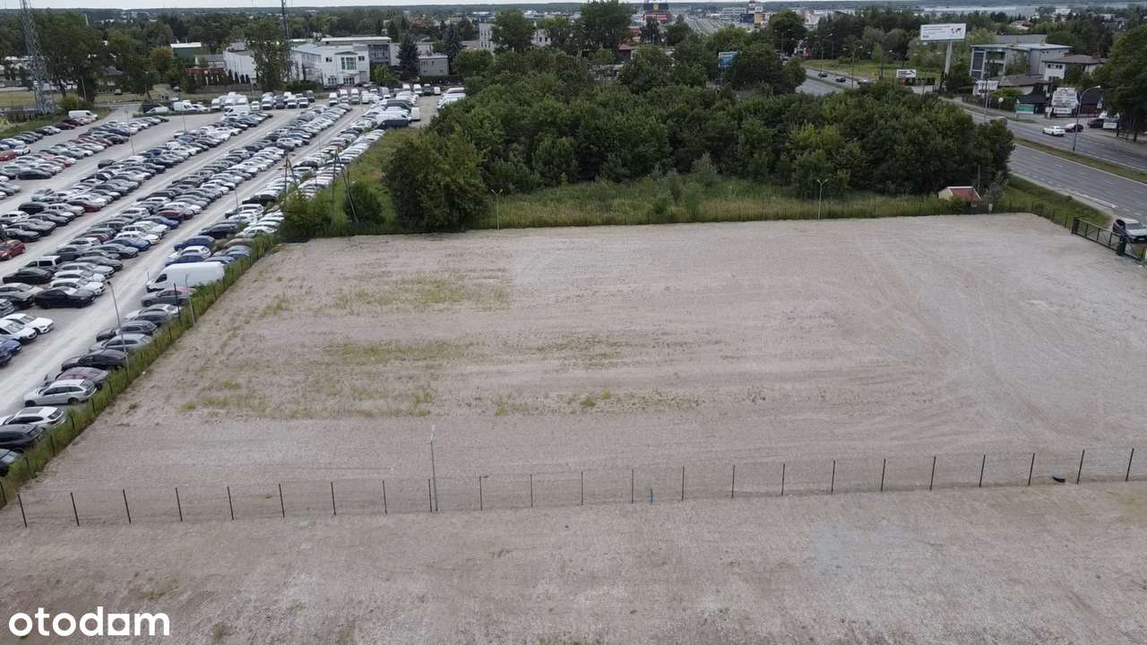 Działka 5000+5000 m2 - Pełny obrazek: 4/7