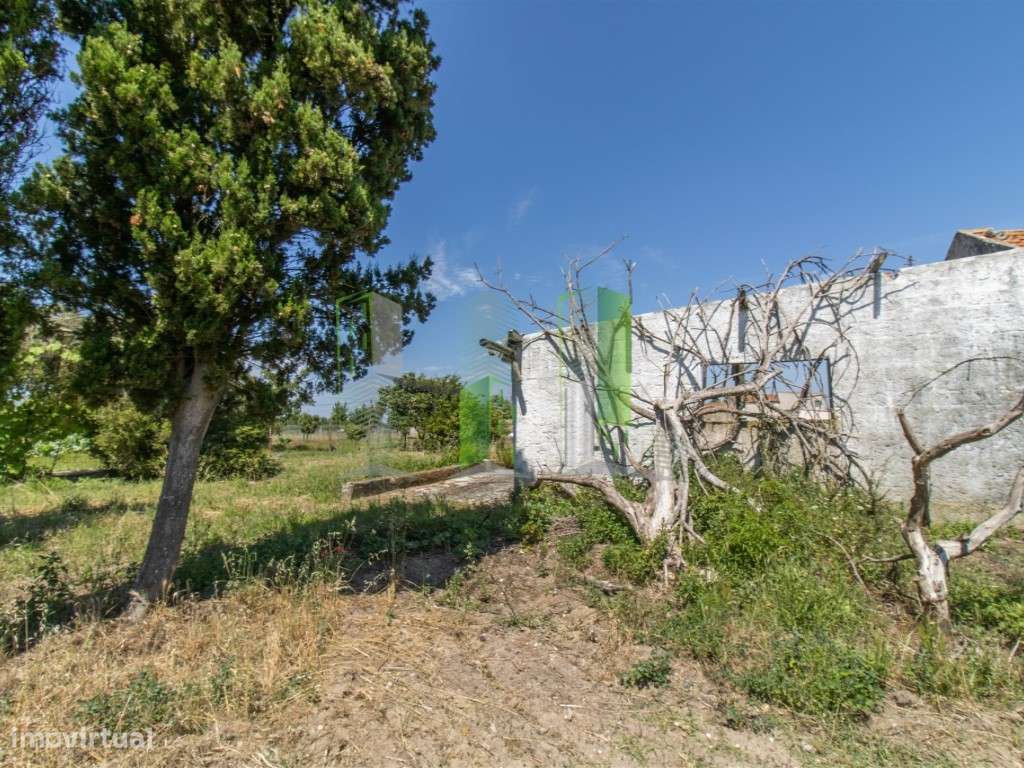 Venda de Terreno em Maiorca Terreno rústico com possibilidade de co... - Grande imagem: 4/15