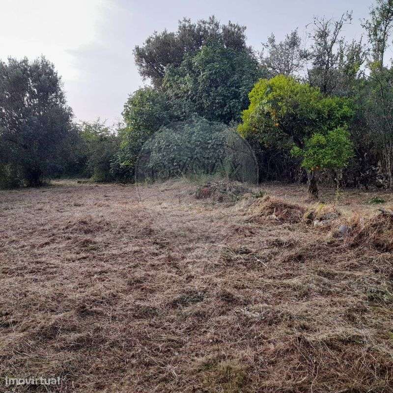 Moradia T3 para venda-12