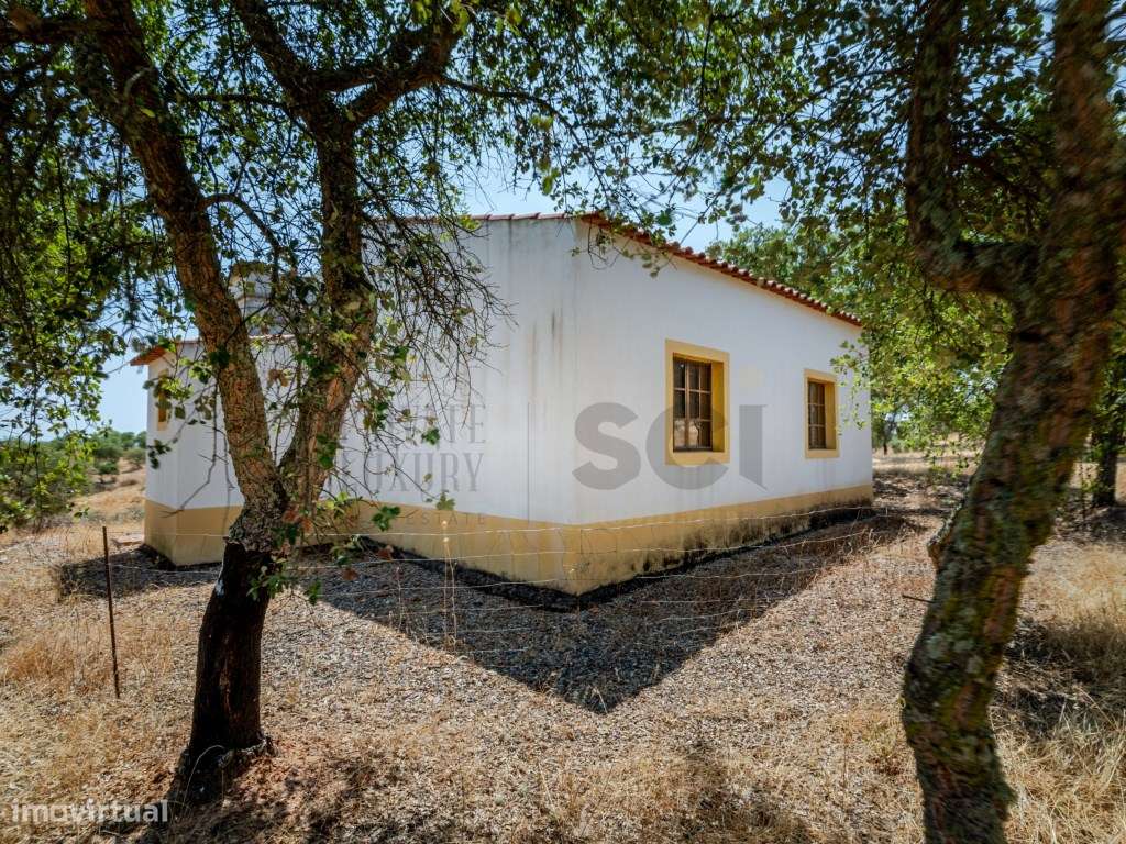 Quinta T2 em Serpa | Vista para a barragem-18