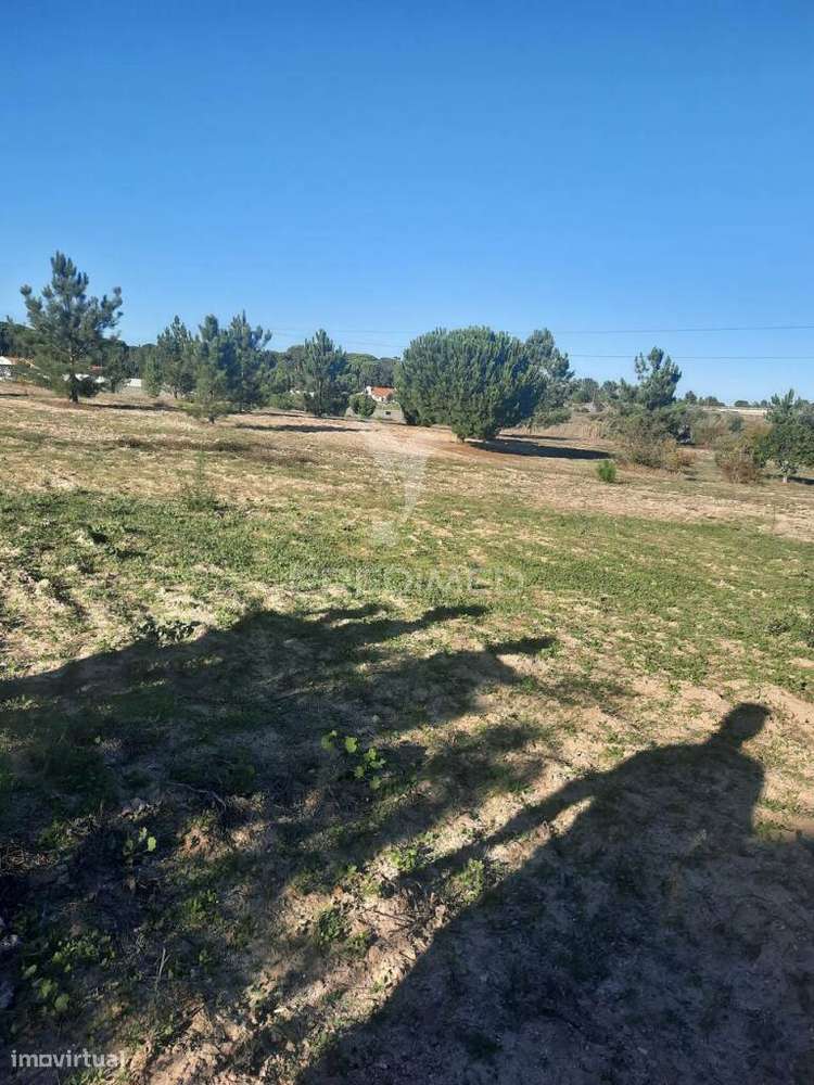 Terreno com 12177m2 - Grande imagem: 3/23