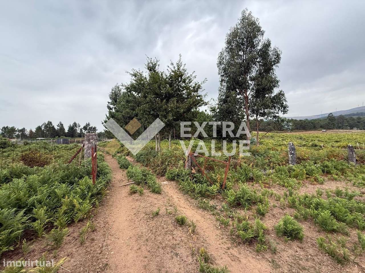 Quinta T6 Venda em Fontoura,Valença-21