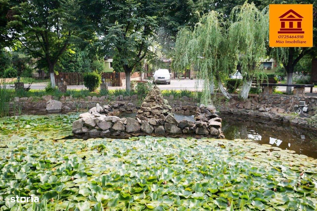 Casa Cartieru Verde-6