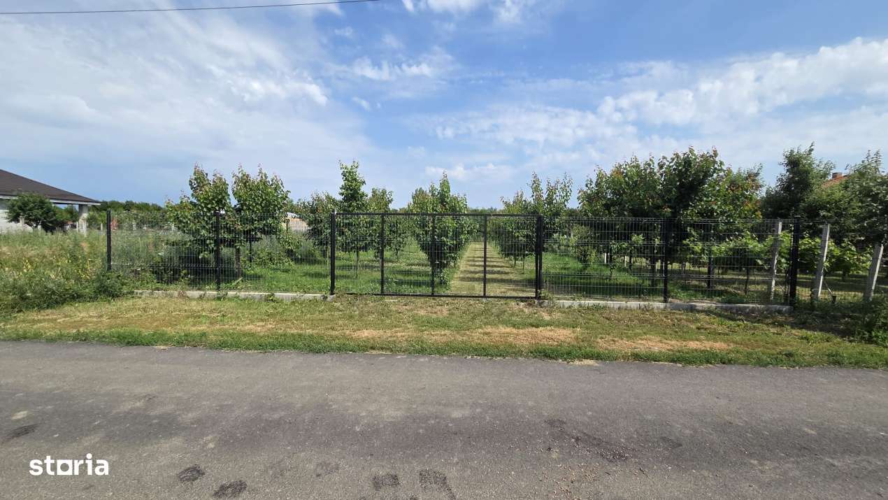 Teren de vanzare la intrare in Vetis - Imagine principală: 1/1