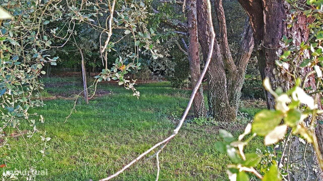 Moradia T5 perto de Coimbra-34