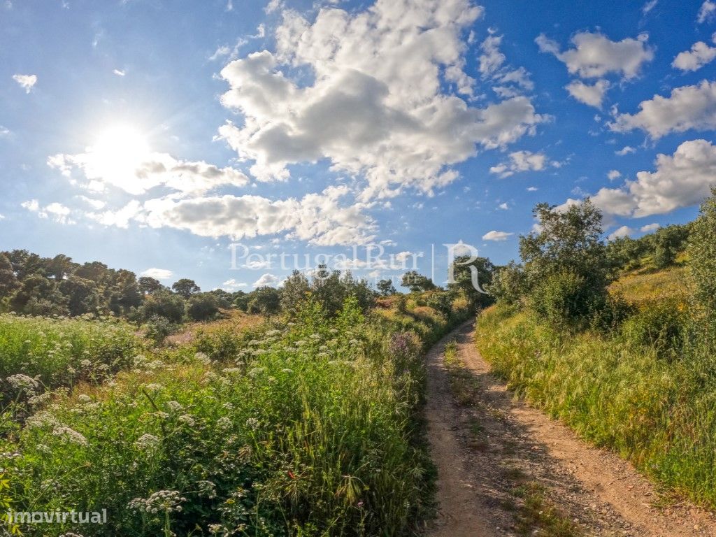 Quintinha com 2,3 hectares na Zebreira