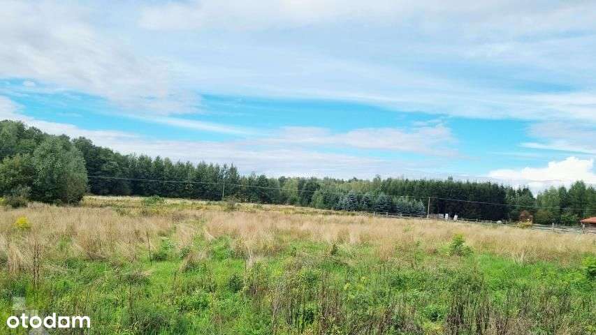 kompleks działek budowlanych pod Mszczonowem-10