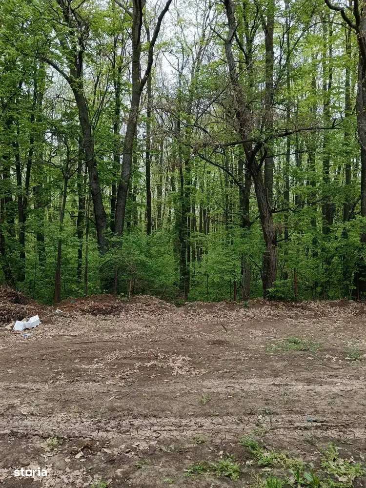 Duplex 4 Camere si curte privata, Iancu Nicolae -  Comision 0%-8