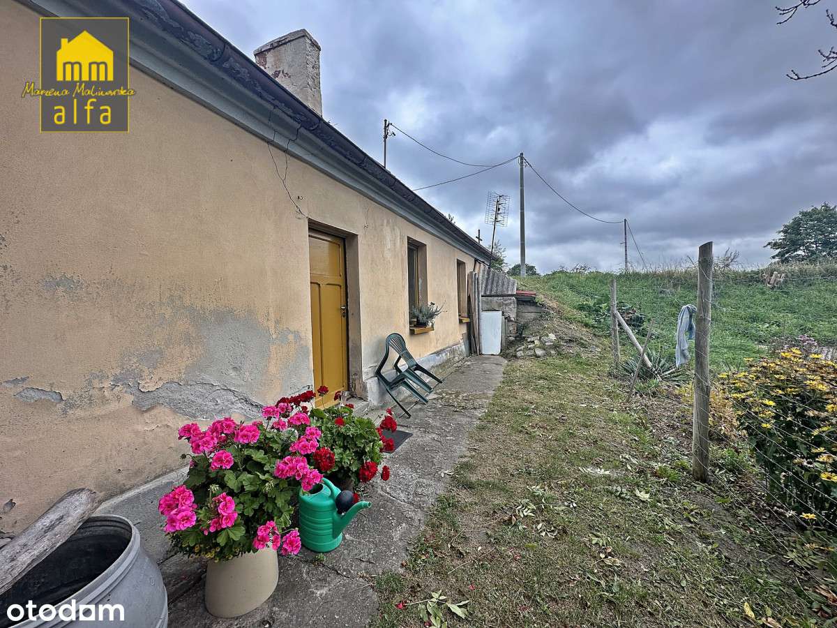 Nowe*Nowy Świat*Działka 3773m2*OD Zaraz-9