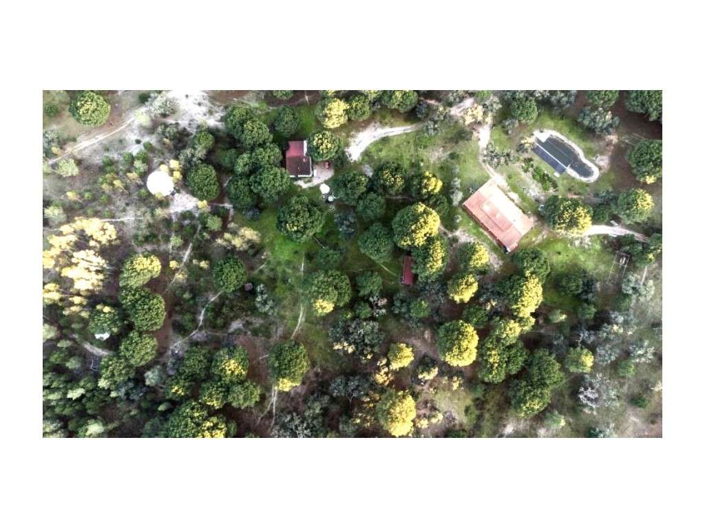 Monte Alentejano com 8,2 Hectares - Um Paraíso de Natureza e Sereni... - Grande imagem: 4/56