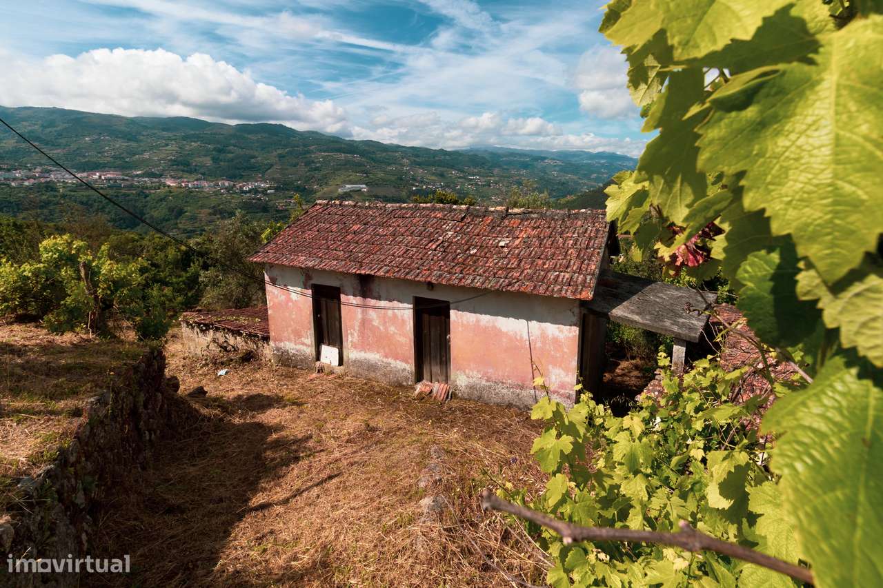Quintinha com Vista para o Rio Douro – Baião-4