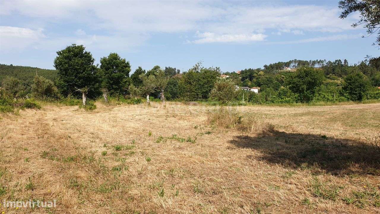 Terreno para cultivo com 4.500 m2 em Cabeceiras de Basto - Grande imagem: 4/12