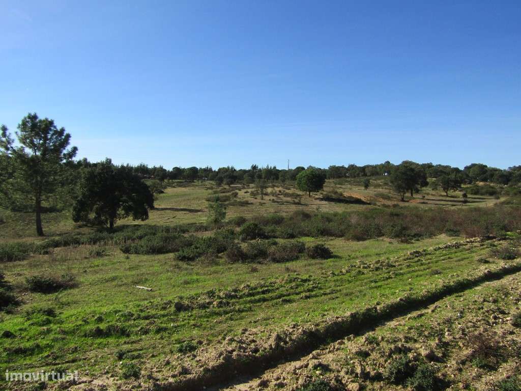 Lote para Construção-13