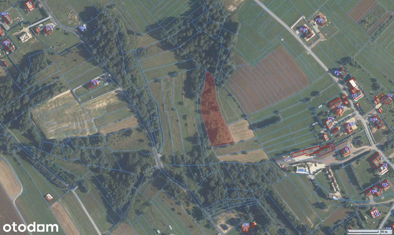 DZIAŁKI na sprzedaż w Rokiciny Podhalańskie. - Pełny obrazek: 1/2