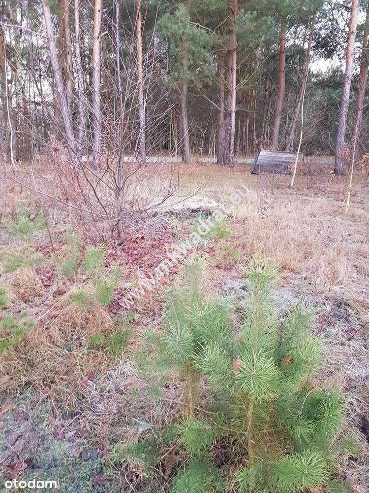SuPeR Działka budowlana 1053 m² prostokątna, media-8
