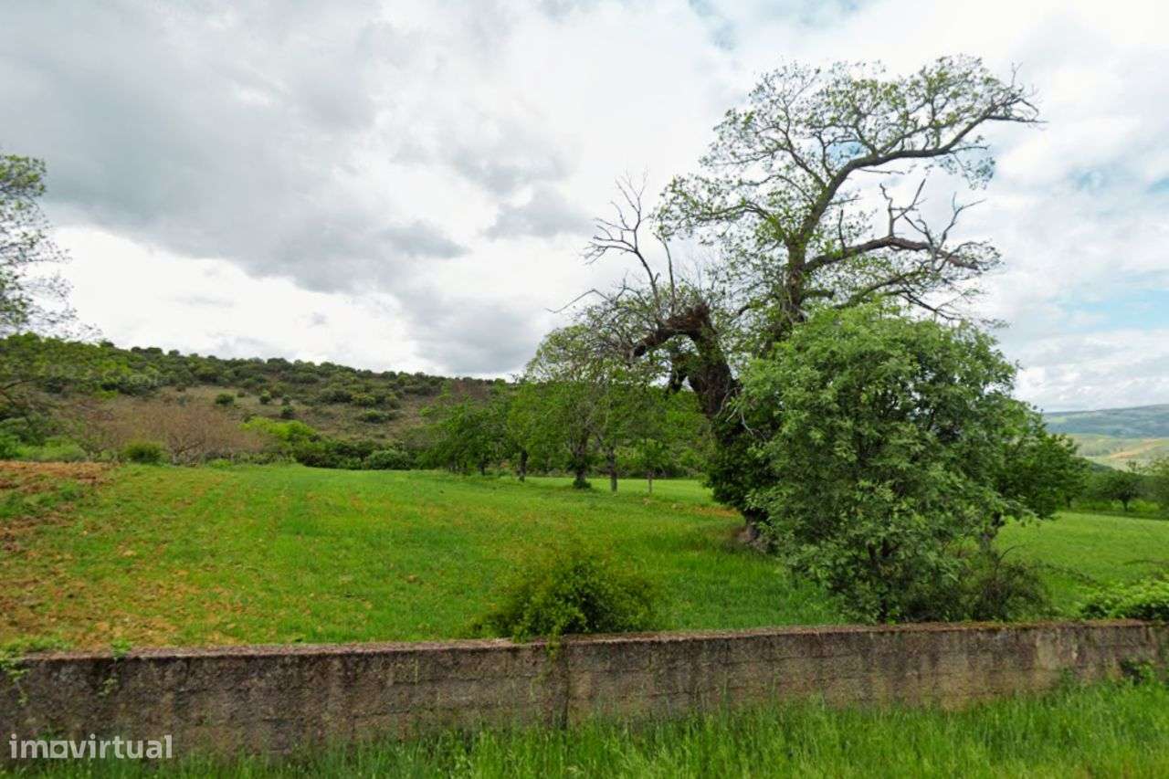 Terreno Agrícola para venda em Conlelas, Bragança-2