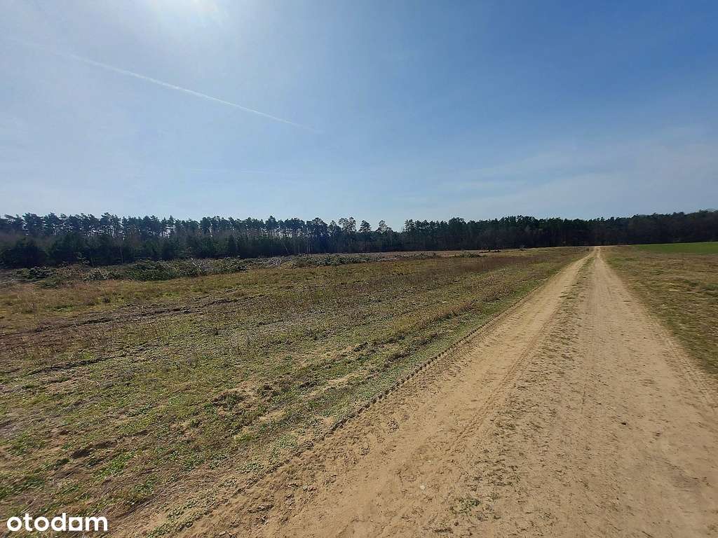 Działki na granicy Baczyna/Marwice miejscowy plan!-15