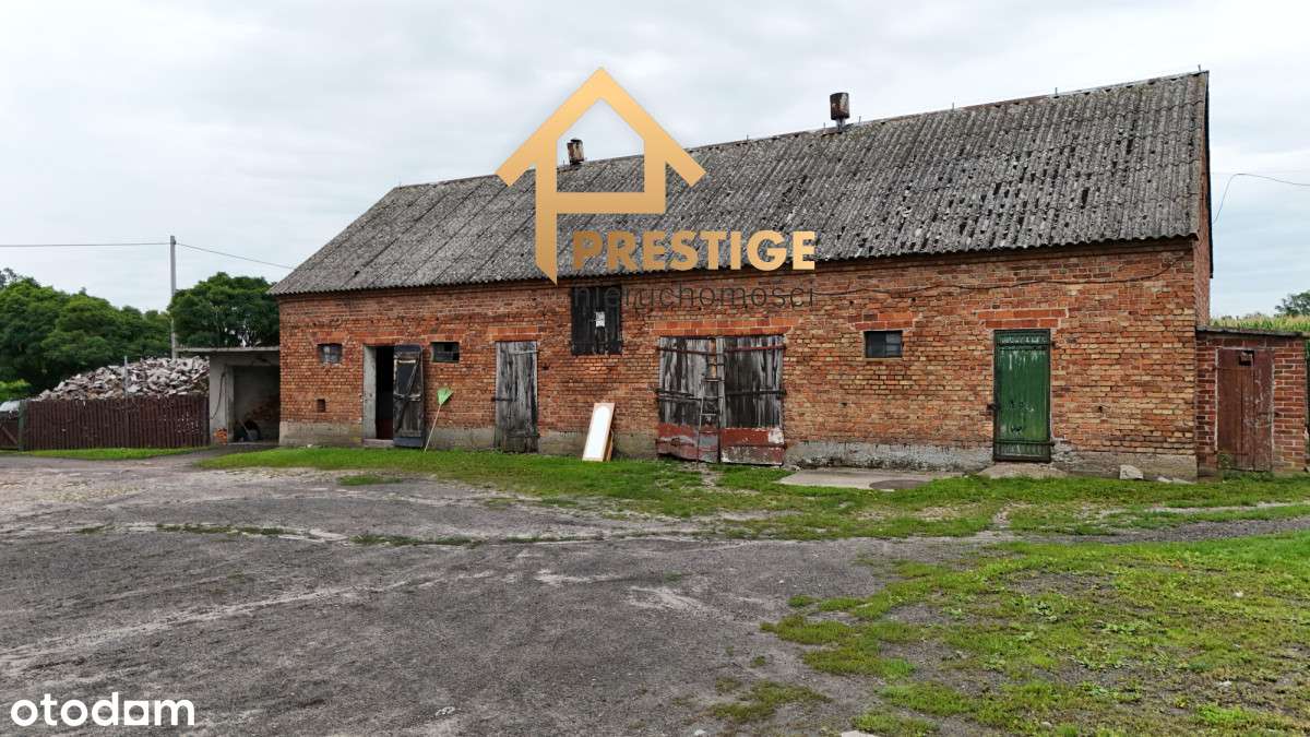 Na sprzedaż gospodarstwo rolne 12,67ha gm.Sompolno - Pełny obrazek: 5/17