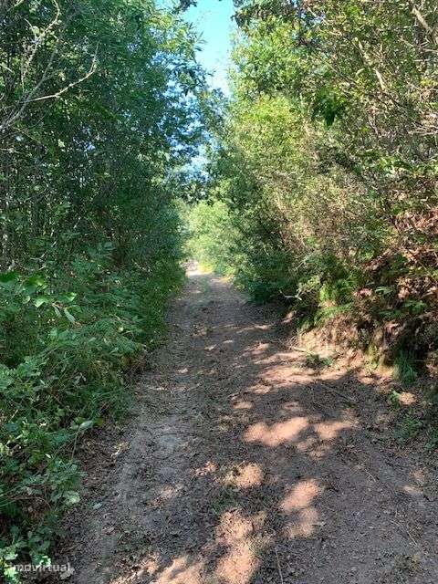 Quinta do Barreiro com 2 Casas para Recuperar-13