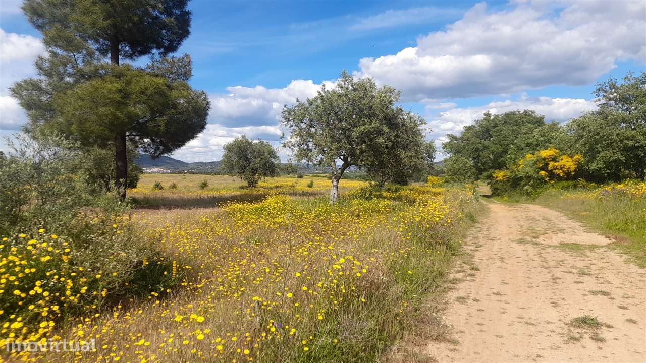 Herdade T0 Venda em Enxames,Fundão - Grande imagem: 3/14