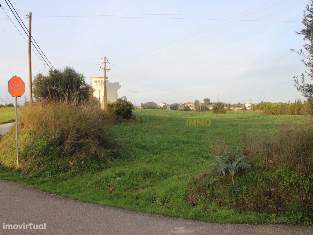 Terreno para construção com 13.000 m2, a 5 minutos de Tomar.