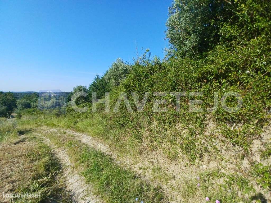 Terreno com 1440 m2 a 4 minutos de Tomar. - Grande imagem: 2/11