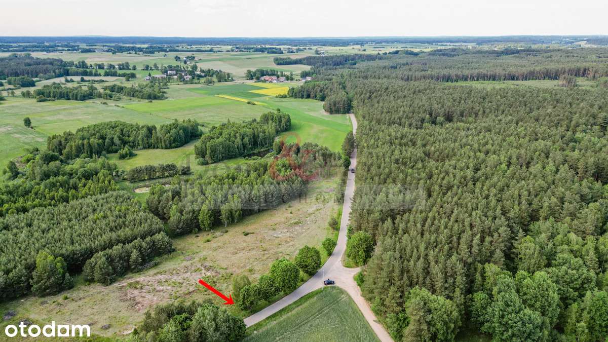 Działka na Kaszubach przy samym lesie - Pełny obrazek: 5/18