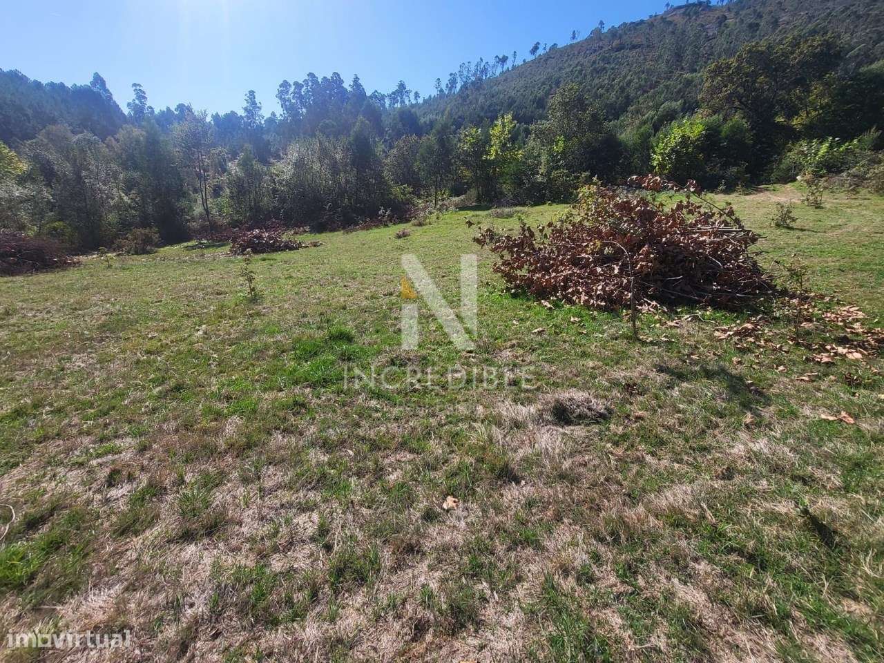 Terreno  Venda em Bucos,Cabeceiras de Basto-3