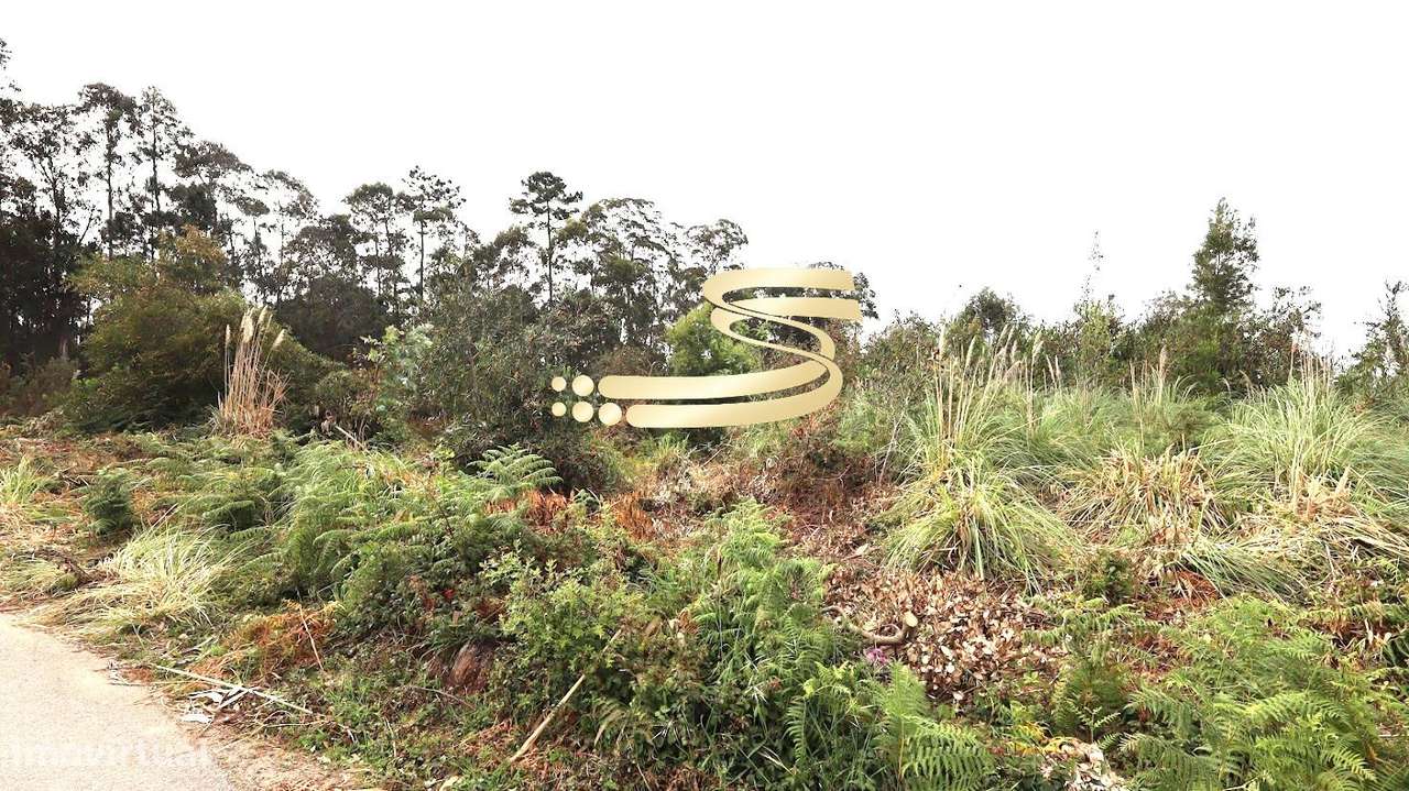 Terreno com Viabilidade de Construção entre Anta e Silvalde Espinho-5