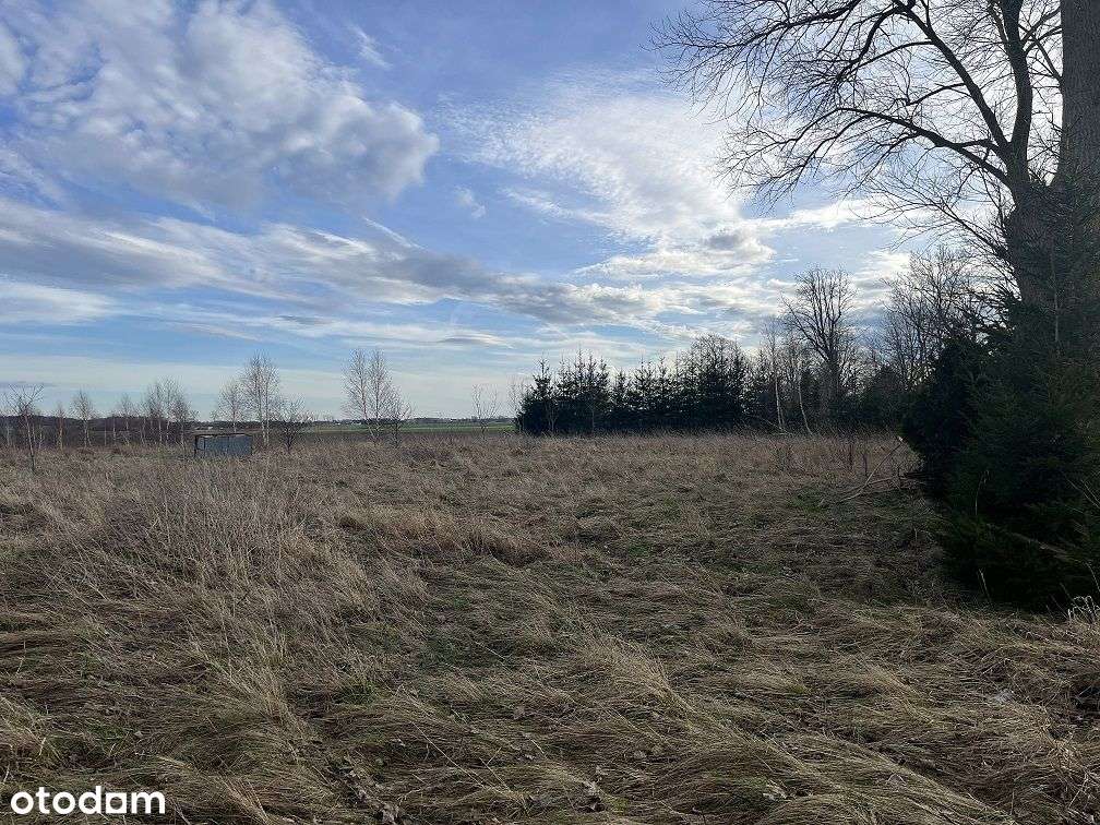 Okazja ! Działka pod inwestycje - 4km do morza - Pełny obrazek: 5/12