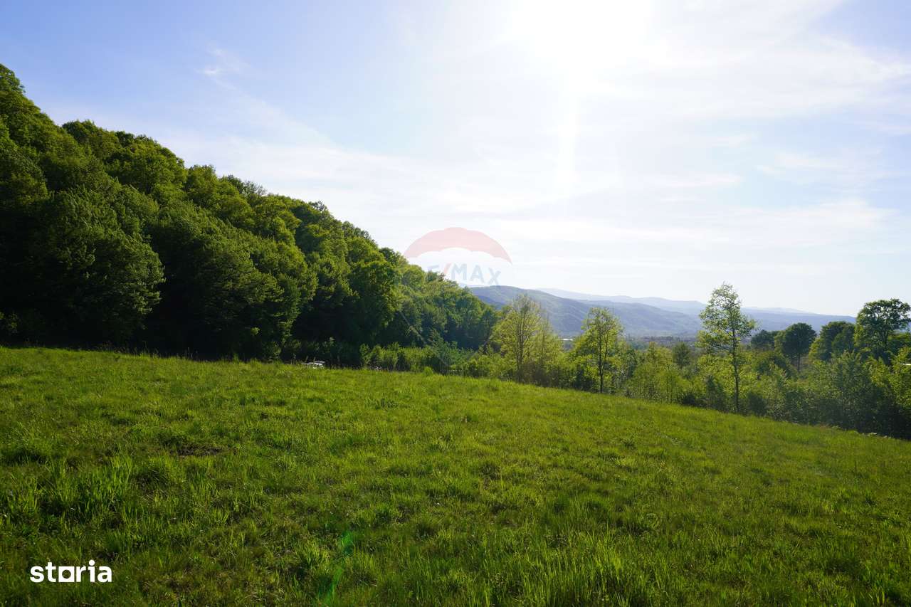 Teren 33,137mp Sighetu Marmatiei / Strada Mocăniței - Imagine principală: 4/11