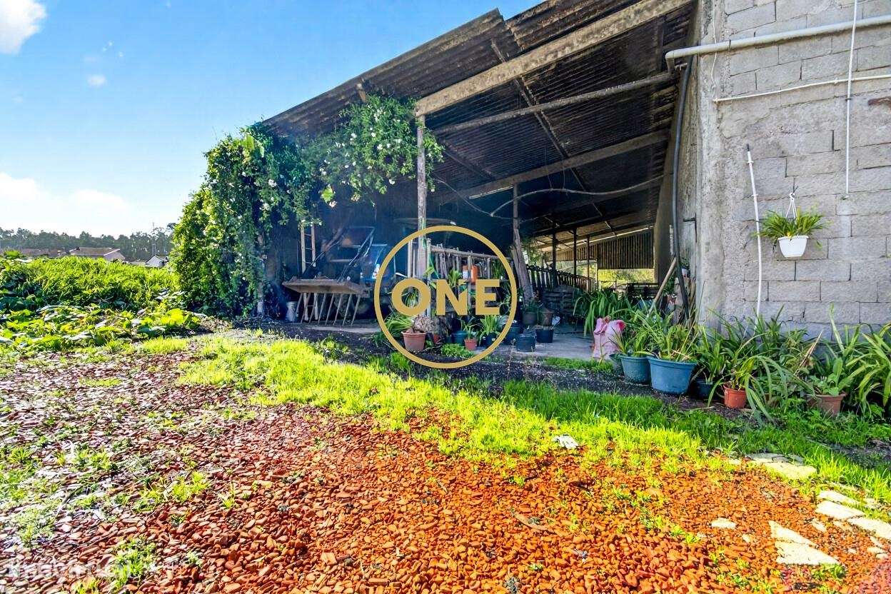 Quinta com 1.9 Hectares no Castêlo da Maia-15
