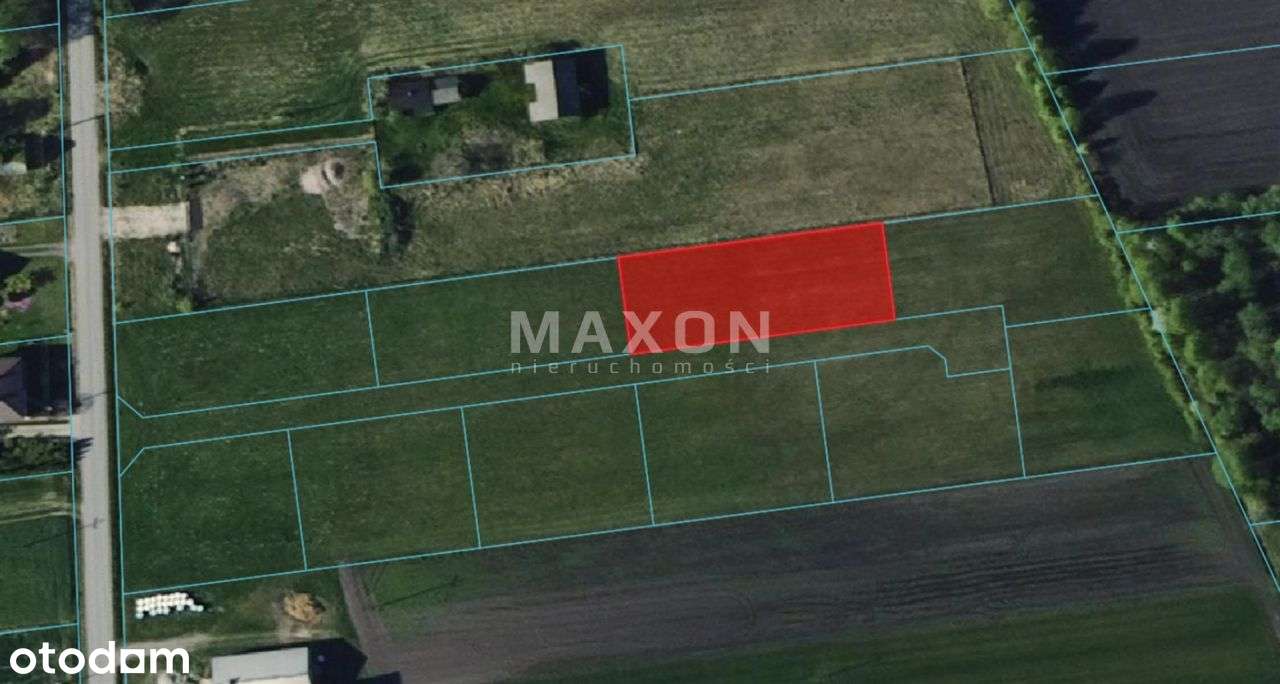 ❗❕ Działka w Nieborowie!!Nowa Cena❕❗ - Pełny obrazek: 4/6