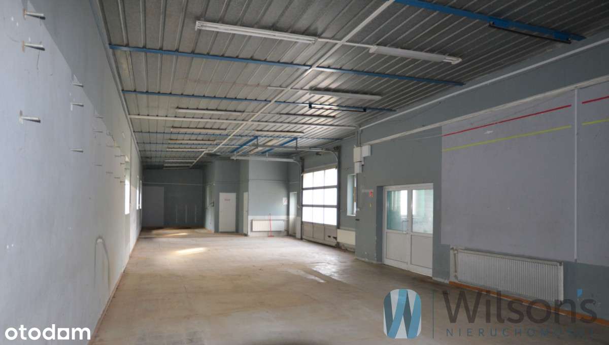 Hala 600 M2, Biura 250 M2, łomianki - Pełny obrazek: 5/13