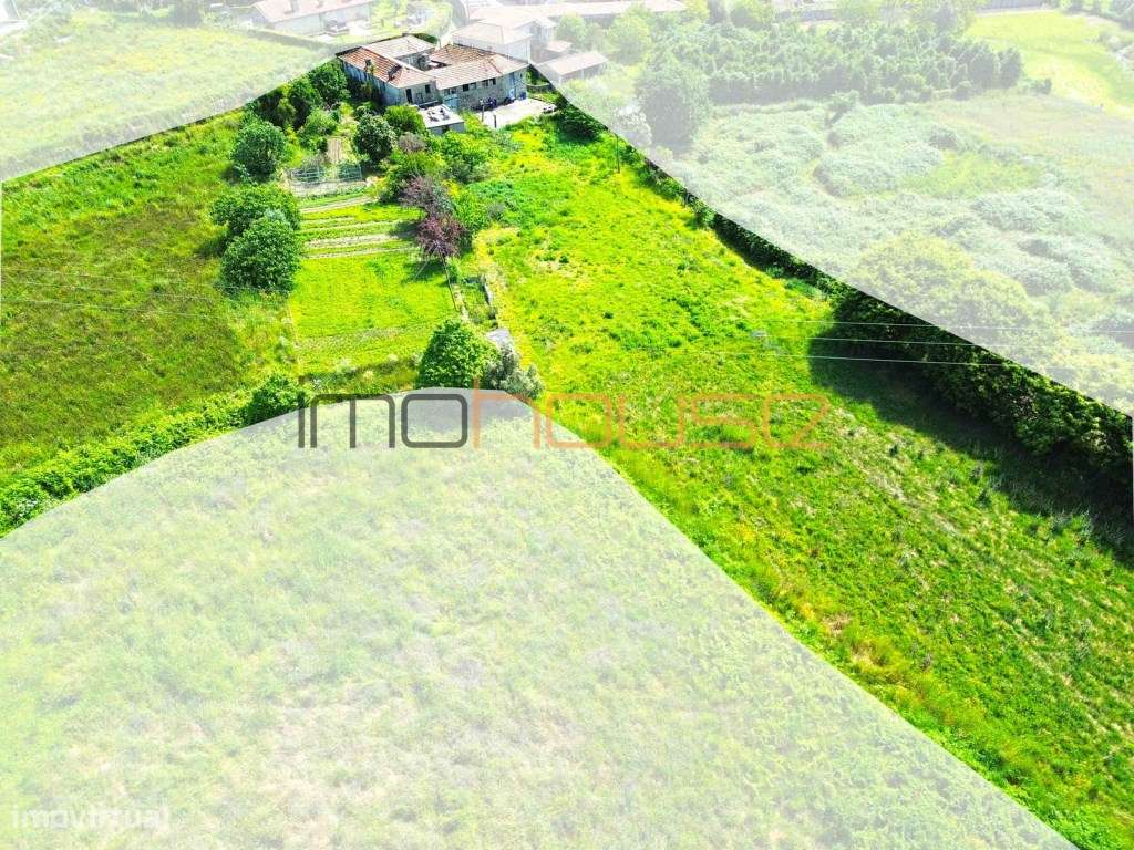 Quinta Tradicional com Terreno Plano e Ribeiro - A 22 min. do Porto-18