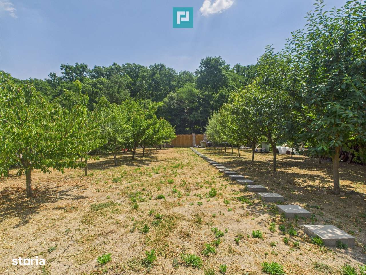 Teren edificabil 1106 mp – Dumbrăvița - Imagine principală: 2/8