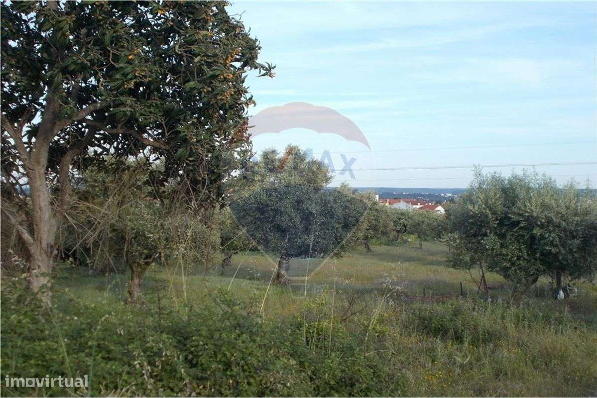 Terreno em Chainça - Grande imagem: 5/15