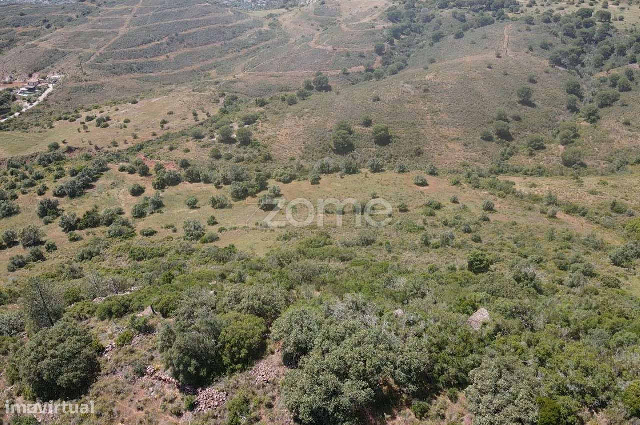 Terreno rústico c/poço em Gralheira com 21.760m2, Messines - Grande imagem: 3/13