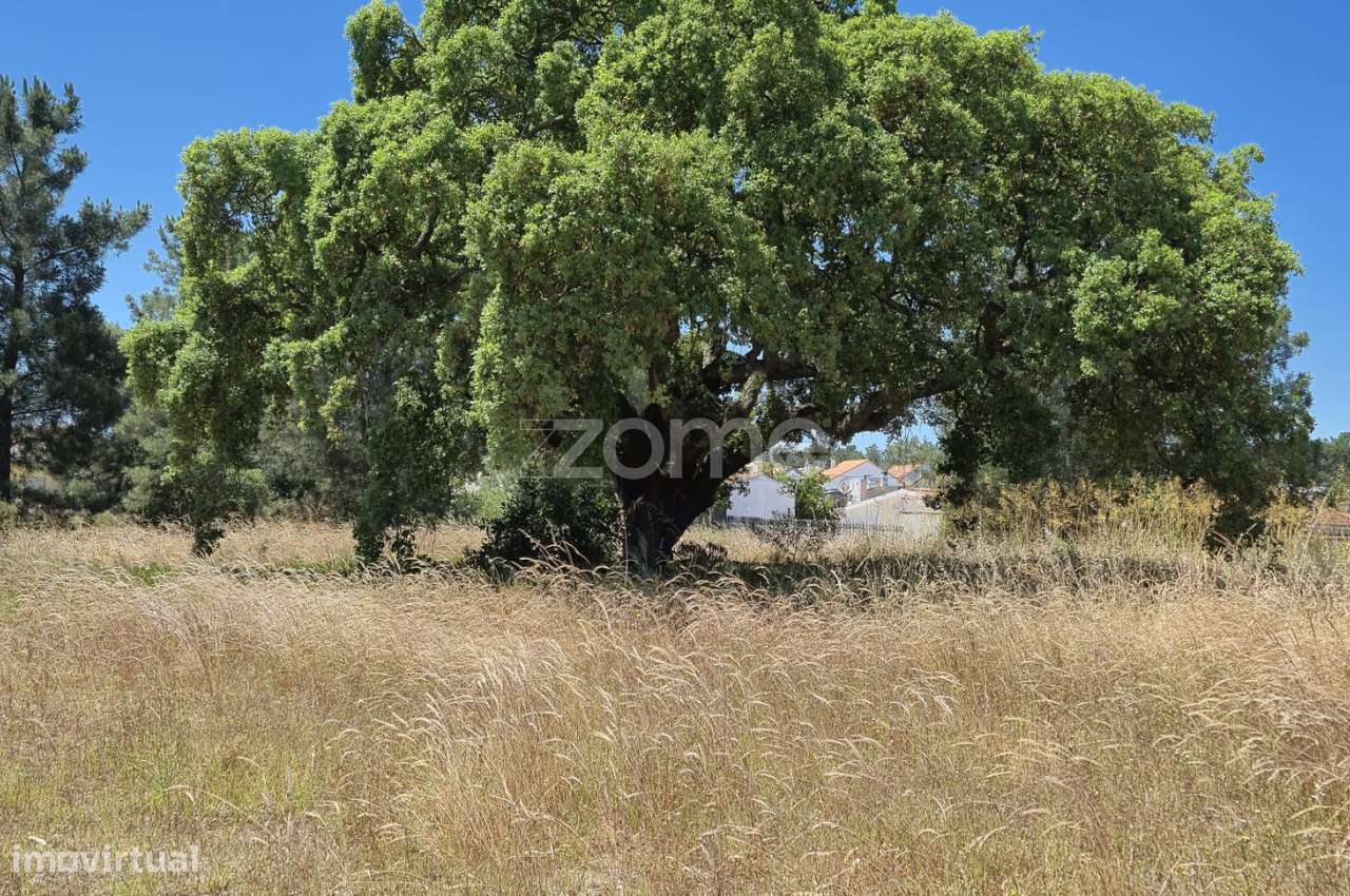Terreno potencialmente urbanizável em Fernão Ferro, Seixal - Grande imagem: 3/22