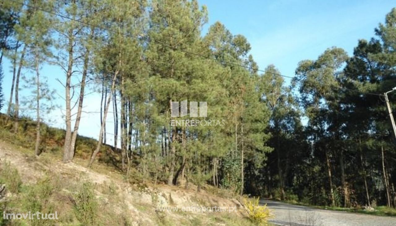 Venda Terreno, Banho e Carvalhosa, Marco de Canaveses