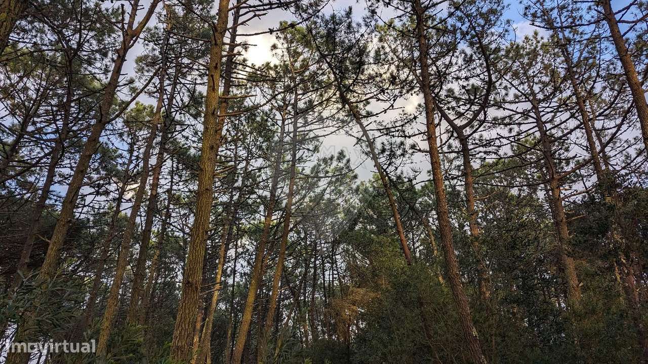 Terreno  para venda - Grande imagem: 5/18