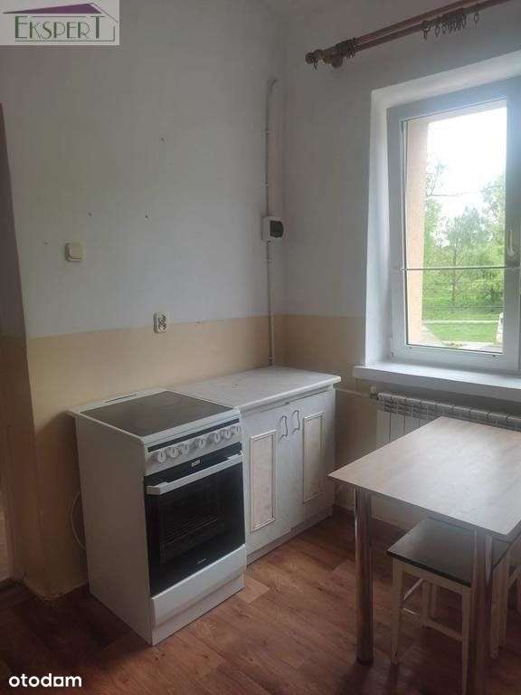 Czeladź Katowicka - dwa lokale w kamienicy, ogród-9