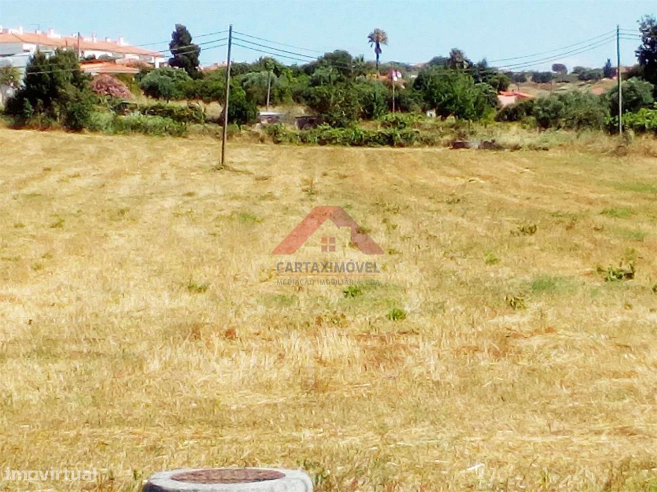 Quintinha  Venda em Pontével,Cartaxo - Grande imagem: 3/8