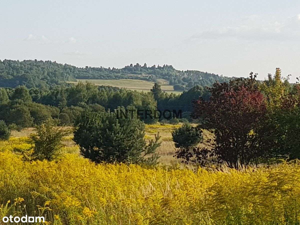 Atrakcyjna działka budowlana - Pełny obrazek: 5/7