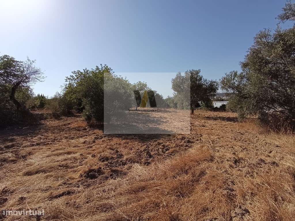 Terreno com armazém. - Grande imagem: 5/12