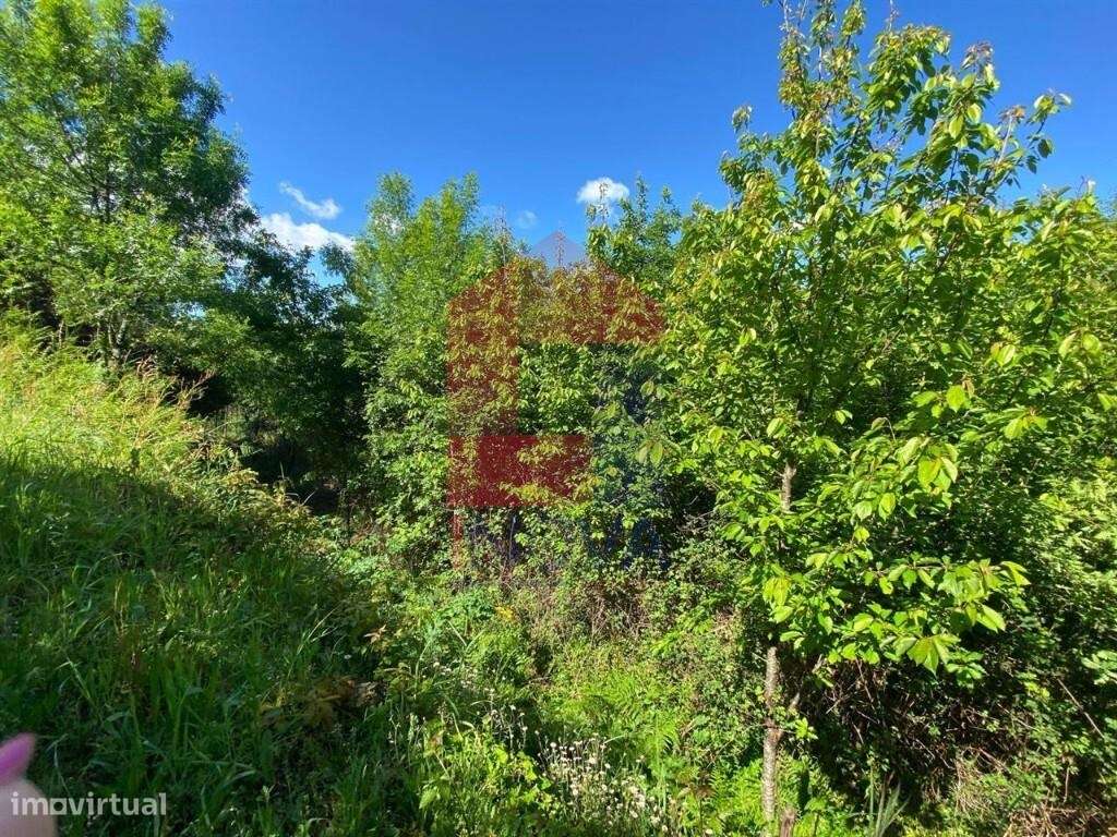 Terreno agrícola, Barros - Grande imagem: 4/18