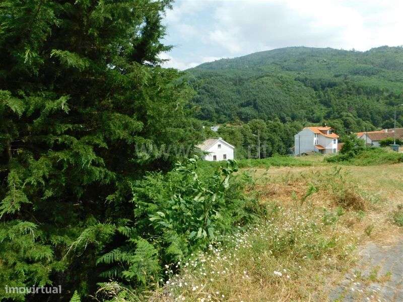 Terreno Urbano / Seia, Sandomil - Grande imagem: 4/6