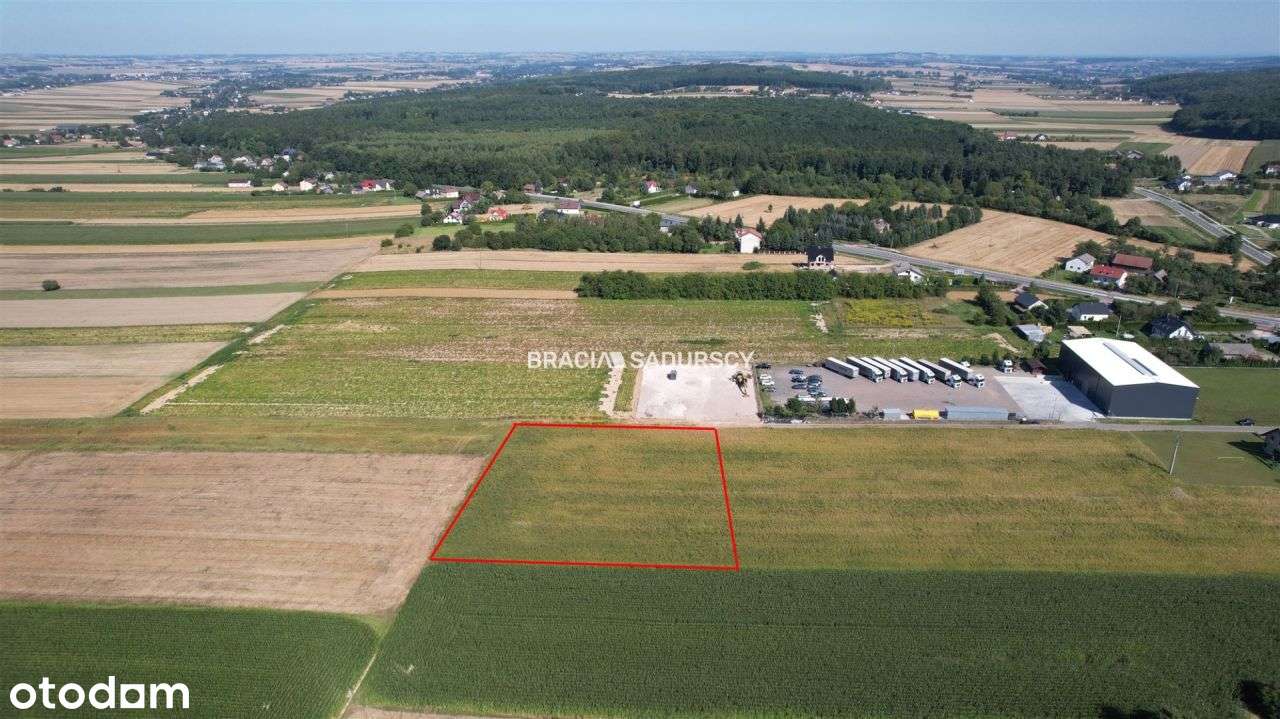 Działka usługowa 30ar blisko Krakowa - Pełny obrazek: 5/17