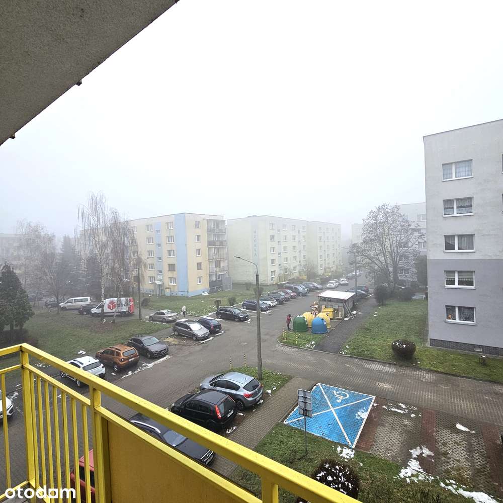 Miechowice- 2 Duże pokoje przy lesie !!! - Pełny obrazek: 2/8