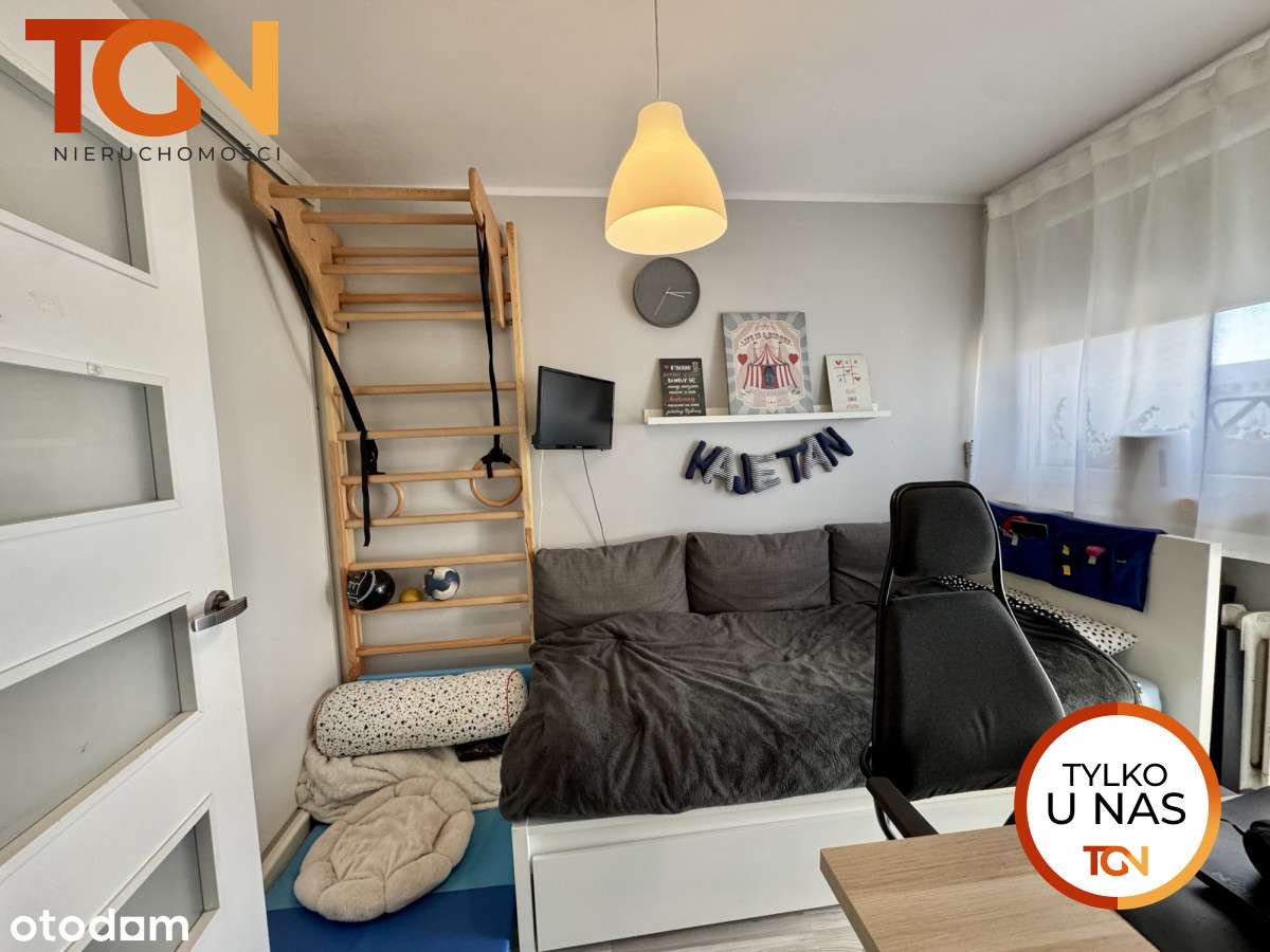 M-3 Dąbrowa / Do wprowadzenia - Pełny obrazek: 5/6